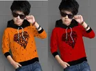 Cotton Blend Hooded Sweatshirts for Boys 