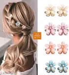 ABS Plastic Hair Clips for Women 
