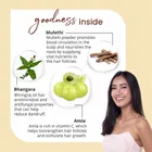 ग्लोबस एंटी हेयर फॉल हेयर सीरम 100 ml