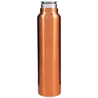 Raintech Steel Water Bottle [1000 ml, Brown]