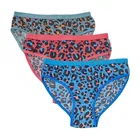Cotton Printed Panties for Women 