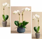 MDF 3 Pcs Designer Wall Painting for Home & Office 