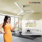 Longway Nexa P1 1200 mm 3 Blade Ceiling Fan  