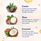 Parachute Advansed Castor & Shea-enriched Coconut Hair Oil, 300 ml