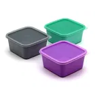 GLUMAN Storage Container 