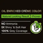 Garnier black natural 20 ml 20 g Original Black