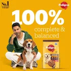 Pedigree Adult Meat and Rice dry Young dog food 