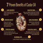 Park Daniel Premium Cold Pressed Hexane Free Castor Oil 