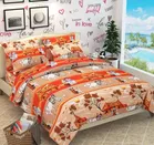 Polycotton Double Bedsheet with 2 Pillow Cover 