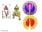 Fabric Laddu Gopal Ji Idol with 2 Pcs Poshak & Jewellery Set (Multicolor, Set of 3)