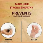 Jogeshwari Adivasi Hair Oil 