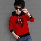 Cotton Blend Hood Neck Sweatshirts for Boys 