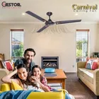 Maxotech CARNIVAL Ultra High Speed 100% CNC Winding 48 Inch Decorative 1200 mm 3 Blade Ceiling Fan, Smoked Brown | Pack of 1