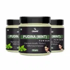 Natural Pudina Powder for Skin & Hair 