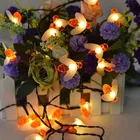 20 LEDs 2.5 m Yellow HoneyBee String Lights 