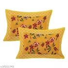 Cotton Queen Bedsheet with 2 Pillow Cover 