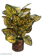 Plastic Artificial Flower With Pot,Multicolour