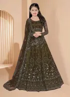 Net Embroidered Semi Stitched Lehenga for Girls 