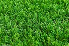 Artificial Grass Doormat 