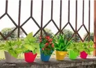 Plastic Hanging Planters 