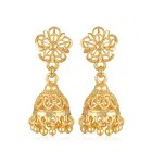 Alloy Earrings for Women 