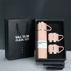 Stainless Steel Vacuum Flask Set with 2 Steel Cups 