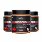 Natural Hibiscus Powder for Skin & Hair 