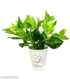 Plastic Artificial Leaves Bunch 
