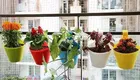 Plastic Hanging Planters 