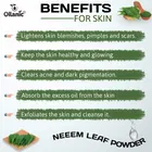 Natural Neem Powder for Skin & Hair 