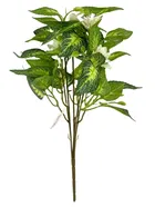 Green Gallery White Jasmine Green Leaf Bunch 32x22cm