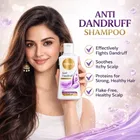 टेरा 8 एंटी डैंड्रफ शैम्पू 100 ml