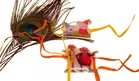 Thread Rakhi for Raksha Bandhan 
