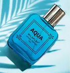 Wildplay Aqua Perfume for Women (30 ml)