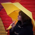 Banana Shaped Sunny & Rainy Umbrella 