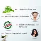 Natural Neem Powder for Skin & Hair 