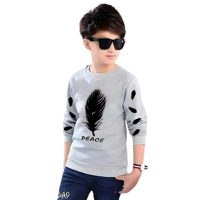 Round Neck Printed T-Shirt for Boys (Grey, 4-5 Years)