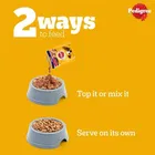 Pedigree Adult Chicken and Vegetable Dry Adult Dog Food 