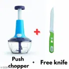 Plastic Manual Vegetables Chopper 