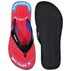 Flipflops for Women 