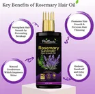 Phillauri Rosemary Hair Growth Oil 