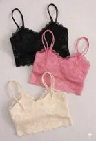 Cotton Solid Padded Bras for Women, Multicolour, Pack of 3 