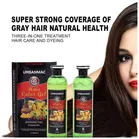 Urbanmac Hair Color Gel (500 ml, Pack of 2)