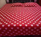 Double Bedsheet with 2 Pillow Covers 