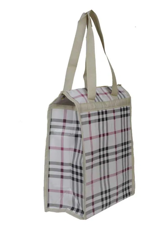 Canvas Tote Bag for Lunch (White, Medium) (SC-013)