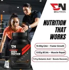 DNUTRIXN Beginner's High Whey Protein with Digestive Enzyme, Multivitamin Whey Protein  
