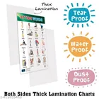 Bookford Publications Both Sides Big Laminated Charts – Action Words & Good Manners 