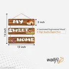 Decorative Wall Hanging 