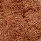 Organic Coco Soil (1000 g)