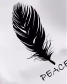 Printed Full Sleeves T-Shirt for Men 